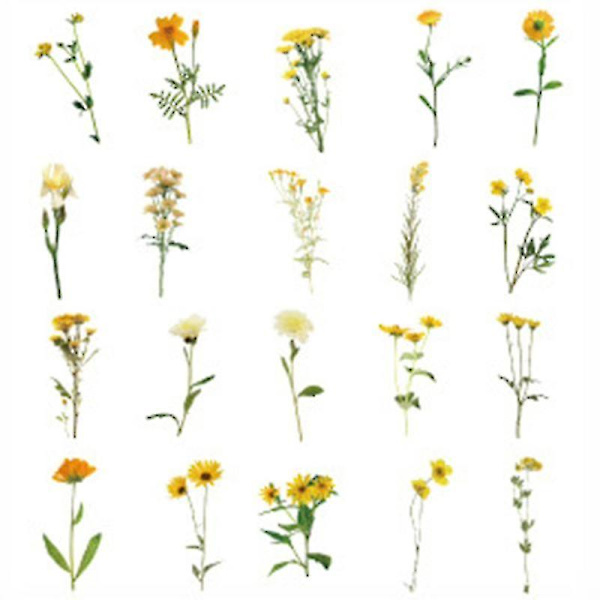 40 st Simulering Blommor Scrapbooking Sticker Pack Växter Serie Transparent Dekal