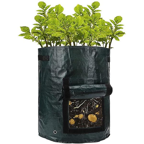 Kasvusäkki multakasveille DarkGreen 1-pack M