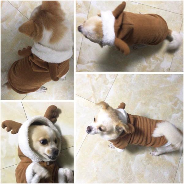 Hund Katt Jul Ren Dräkt, Rolig Pet Älg Cosplay Klänning, Valp Fleece Outfits Varm Luvtröja Xmas Apparel Kläder M