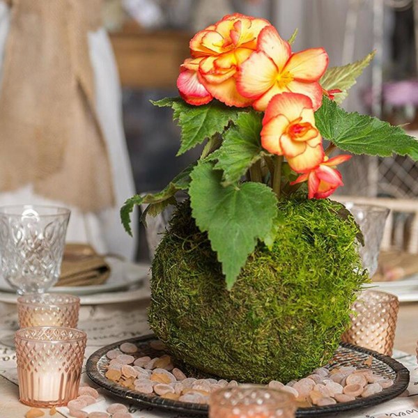 2st Ball Moss Blomkrukor Planteringsmaskin Bonsai Trädgårdsdekor