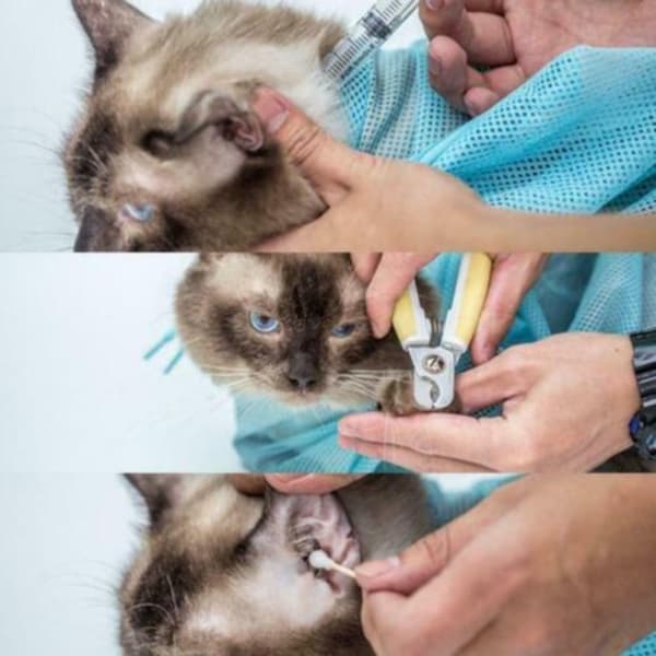 Katt Badeveske Katter Vaskeposer ROSA pink