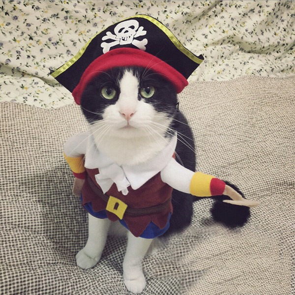 Roliga husdjurskläder Pirathund Katt Halloween kostym kostym S