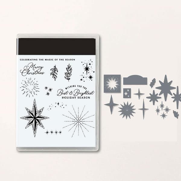 Klar silikonkonststämpelmall Kit Plate Stampskrapa S 5696 Seal+Mold