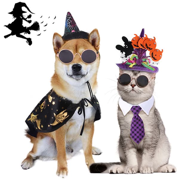 1Set Halloween Cat Hat Clothes e Pet Dress Up Cosplay Halloween 3