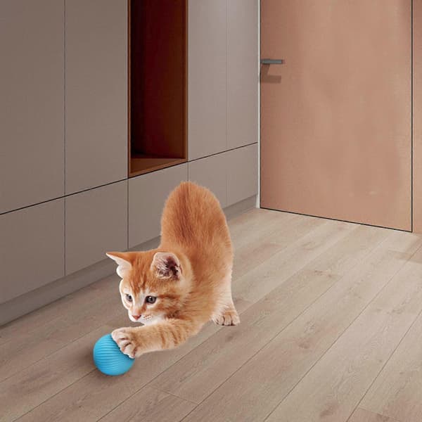 SMART-CAT BALL INTERAKTIVT LEGETØJ SJOV KATTE-TEASER BLINKENDE RULLENDE BOLD~