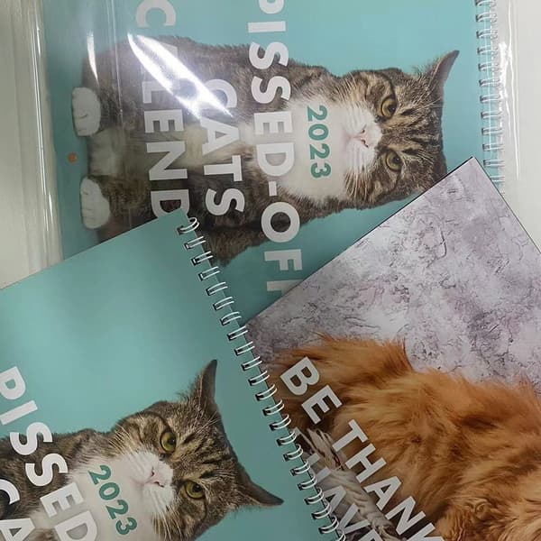 Sjov Kat Kalender 2023 Kalenderkunst Månedskalender