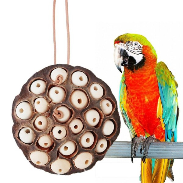 Papegoja födosök leksaker Torkad Lotus Pod Parrot ing Toy Multicolor