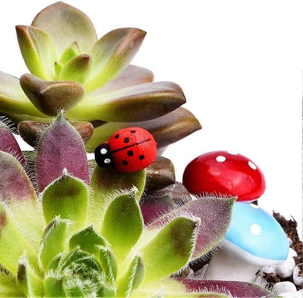 100 st Miniatyr Svamphus i Plast för Älvaträdgård Mikro