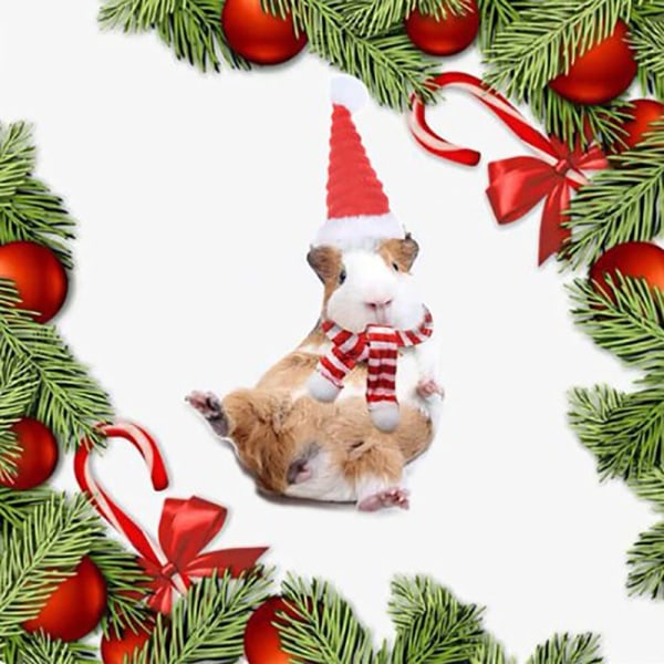 Lizard Tomte Hatt Kanin Withscarf Juldräkt 02