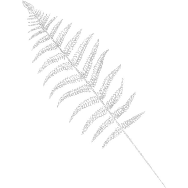 12 st Julglitterblad Faux Boston Fern Bush Tropiska löv Dekoration Bröllop Jul Blomsterarrangemang Kransprydnad