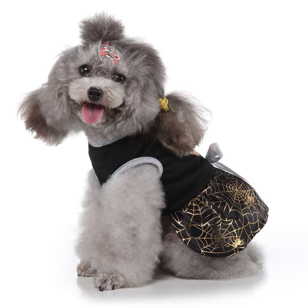 Halloween Hundekjoler Nederdel Græskar Edderkop Kæledyrstøj Kostume S