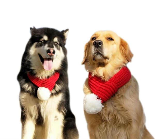 Julehunde- og kattedyrkostumer - Julenissehalsklæde XXS