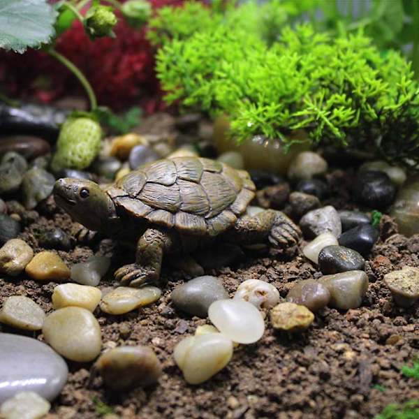 4-pack Mini Simulering Sköldpadda Ornament Realistisk Fairy Garden Succulent Plant Pot Ornament