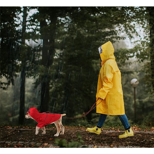 Lättvikts regnjacka för hund Regnponcho för hund, med reflex
