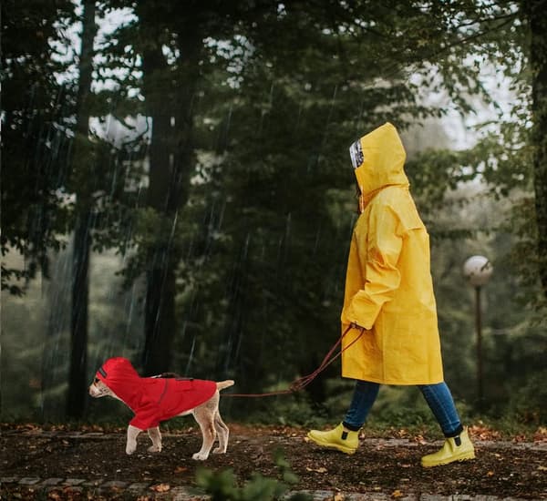 Letvægts regnjakke til hund Regnponcho til hund, med refleks