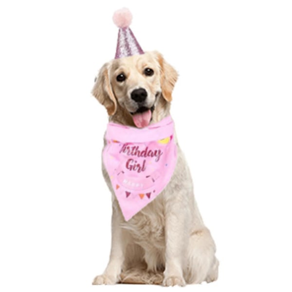 Husdjur dreglar handduk hatt fluga fest outfit hund födelsedag pink