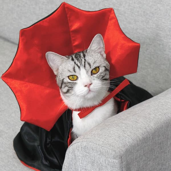 Hunde Halloween Kostumer Hunde Vampyr Kappe Kostume
