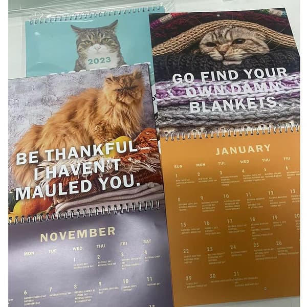 Funny Cat Calendar 2023 Kalenderkonst Månkalender