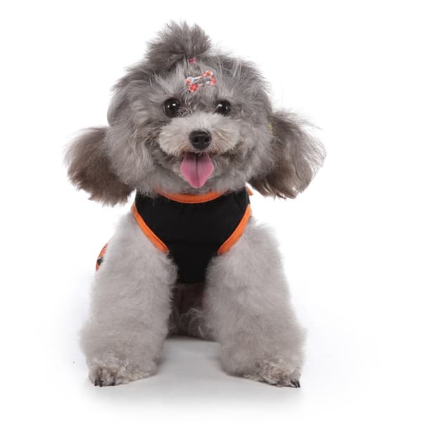 Hundklänning för Halloween semestertema Ghost Bat Mönster Dog XL