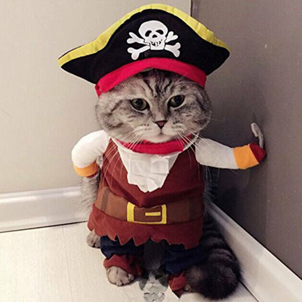 Roliga husdjurskläder Pirathund Katt Halloween kostym kostym M