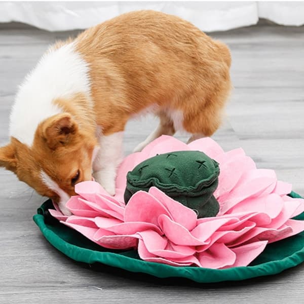 Lotusform Snufflematte for hund i form av neselukttreningsfilt