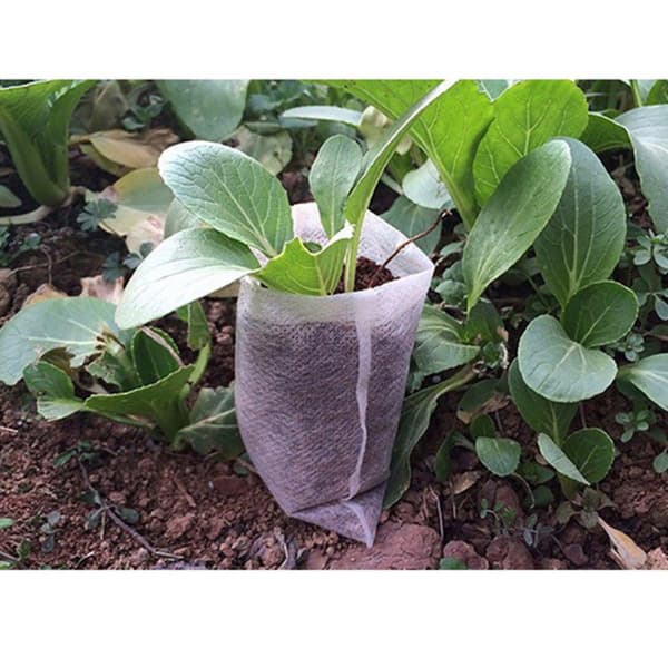 100-Pack - Tomma Fröpåsar / Påsar för Fröplantor - Planta white