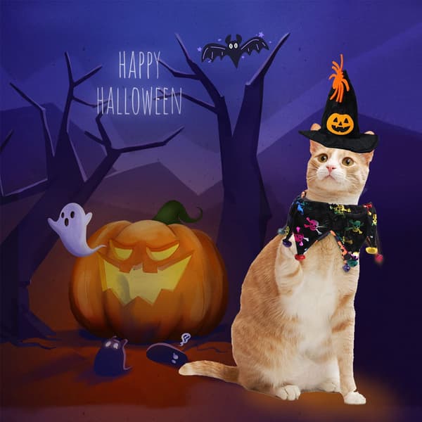 Katt Halloween Kostym - Halloween katthalsband med klockor och style1