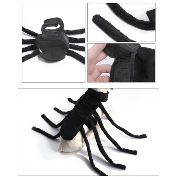 Halloween Mode Kattkläder Spindelkista Husdjur Cosplay black double extra large
