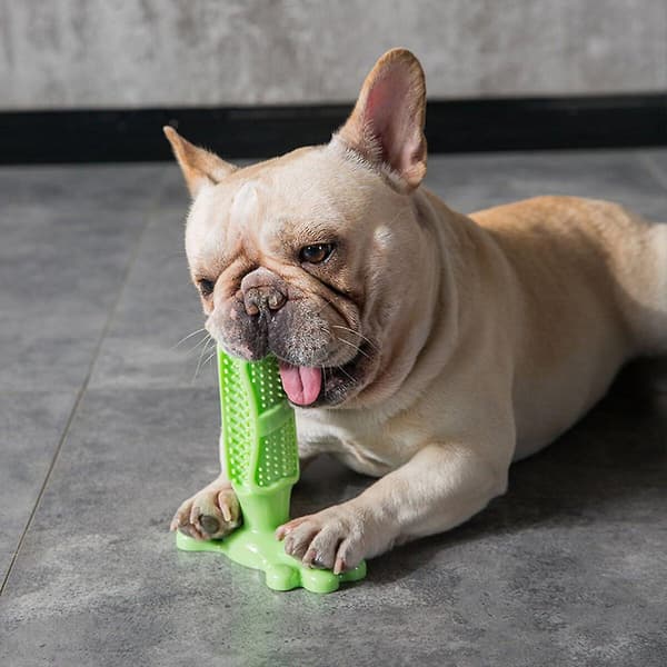 Dog Molar Stick, Tuggtandrengörare Borststick, Hundtuggleksak (Rosa M)