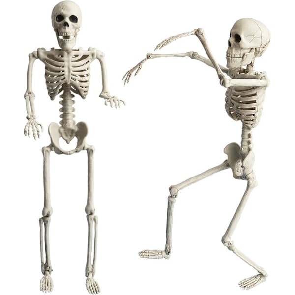 Halloween sisätilojen koko vartalon realistinen nivelletty riippuva luuranko (40cm) 5 kpl