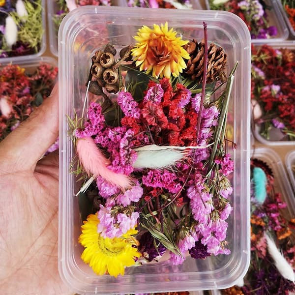 1 låda äkta blandade torkade blommor för harts smycken torra växter pressade blommor DIY