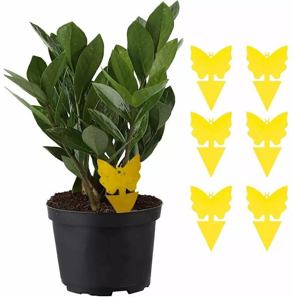 100-Pack - Flugfångare / Flugfälla / Myggfångare - Fångar flugor yellow