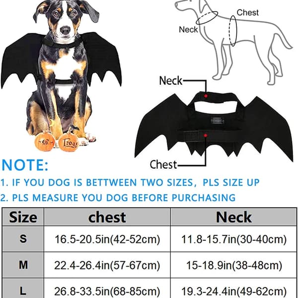 Halloween kostym Pet Bat Wings Katt Hund Bat Costume Vingar black medium