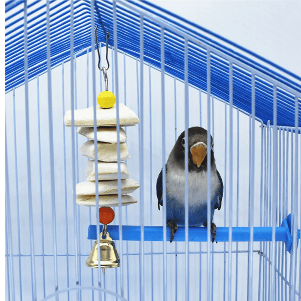 Blue Dream Os de seiche pour perroquet, clochette molaire fragi