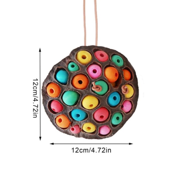 Papegoja födosök leksaker Torkad Lotus Pod Parrot ing Toy Multicolor