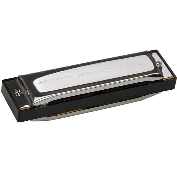 Swan Munspel 10 hål 20 toner Munspel C Blues Professionellt Munspel (Silver)
