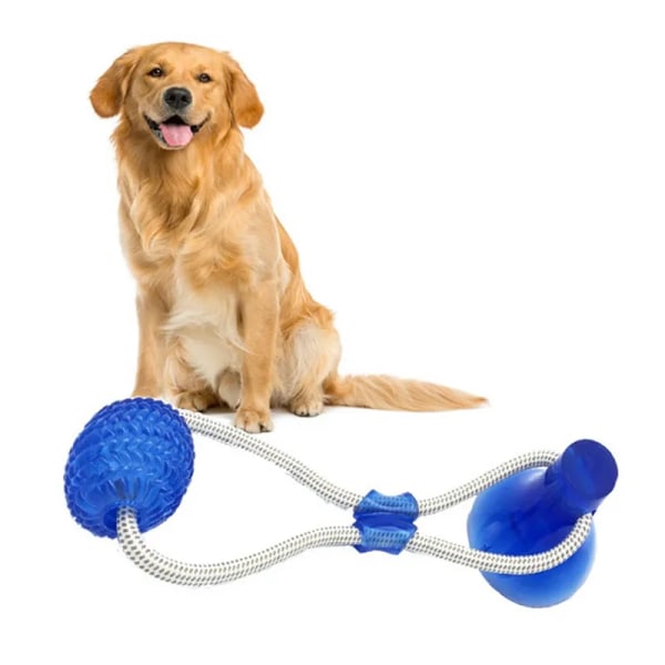 Interaktiva hundleksaker Husdjursvalp Sugkopp Push TPR Bollleksaker Molar Bite Toy Elastiska rep Hundtandrengöring Tuggtillbehör green