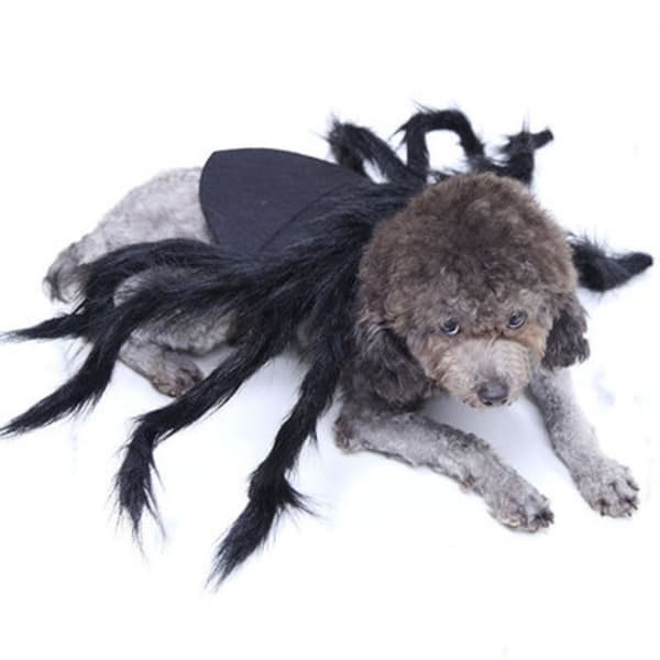Kæledyr Sort Edderkop Kostume Hund Kat Halloween Edderkop Cosplay Outfit S (75cm)