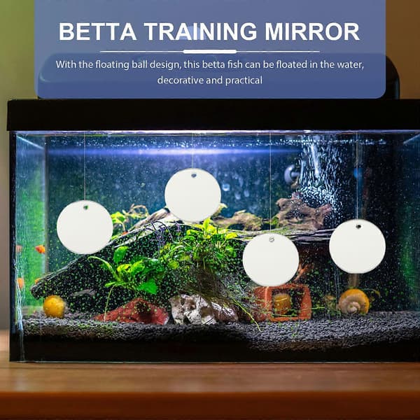 4 st professionella fiskträningsspeglar Betta fiskspeglar Akvariumspeglar Akvarietillbehör
