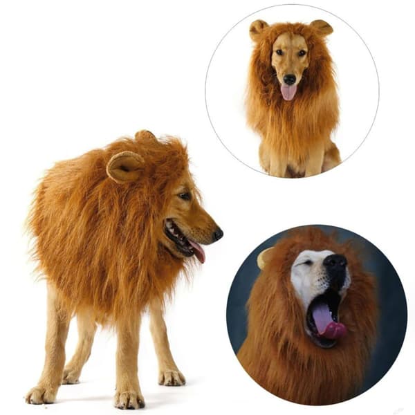Kostym Lejonman Peruk Hund Katt Halloween Kläder Fancy Cosplay