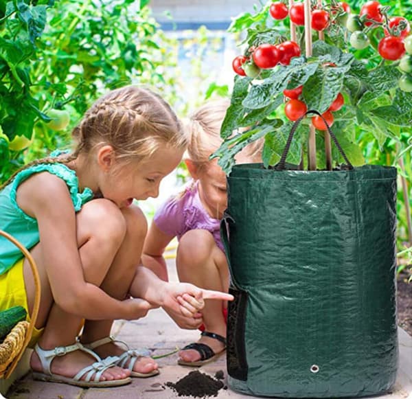 Kasvusäkki multakasveille DarkGreen 1-pack M