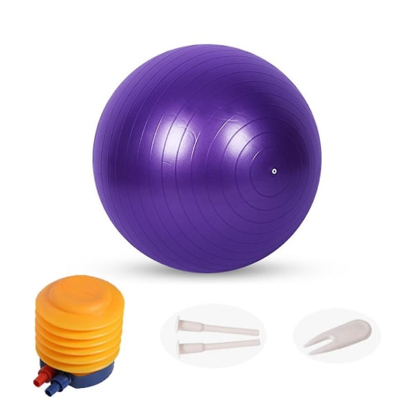 Ekstra tyk yogabold træningsbold, til balance, stabilitet, graviditet, hurtigpumpe medfølger 65cm purple