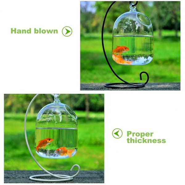 Riippuva lasinen akvaario Fish Tank WHITE 02 02