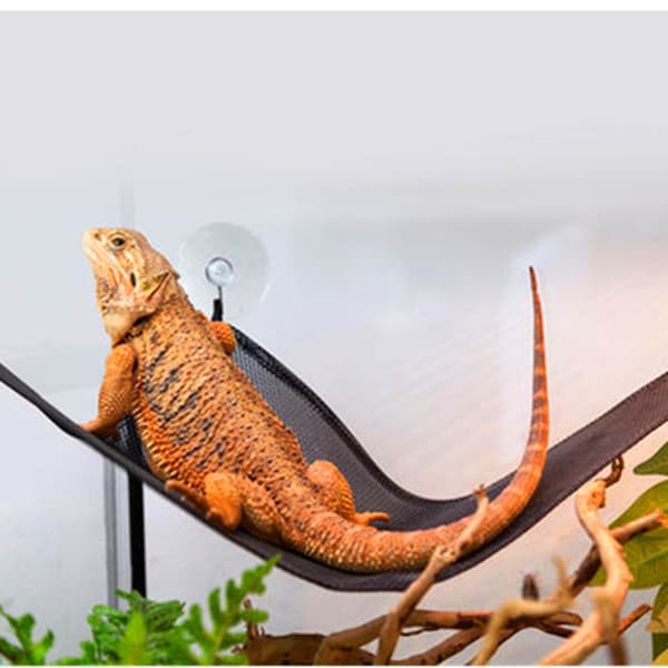 2 stk. Kjæledyr Hengekøye Reptil S