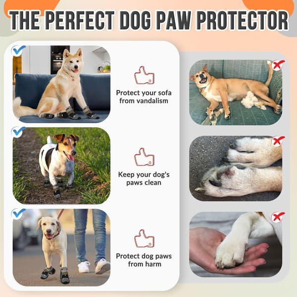 Eyein Dog Boots Paw Protector - Summer Hot Pavemen