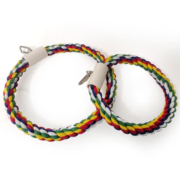 Pet Swing N' Aborre, Medium
