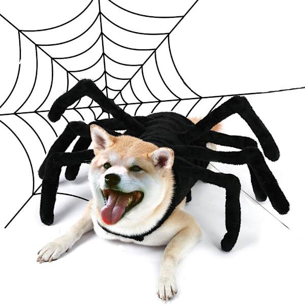 Halloween Mode Kattkläder Spindelkista Husdjur Cosplay black double extra large