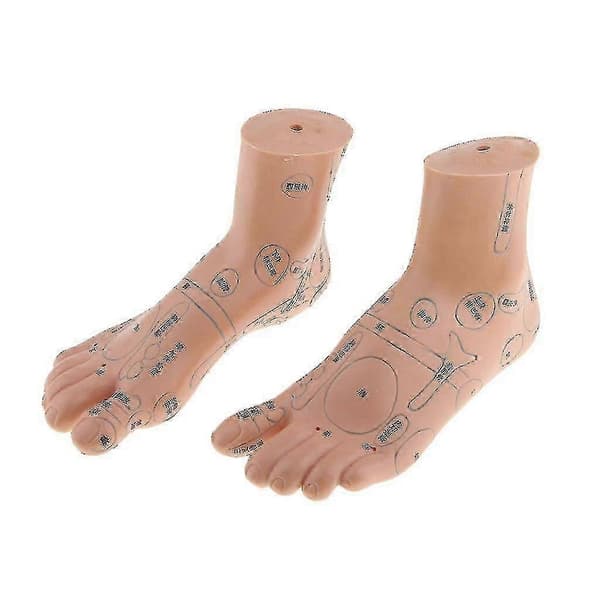 2 Stykker Fodzoneterapi Massage Model Engelsk Kode TCM Fødder Zoneterapi-God