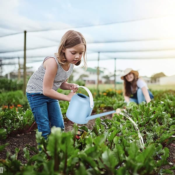 Vandkander To-farvet Serie 1.7L Desktop Potteplanter til Hjemmet