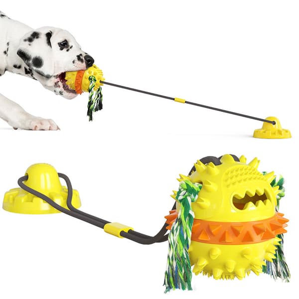Hundleksak med sugkopp, interaktiv hundleksak med boll, hund